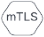 Organization internal mTLS symbol